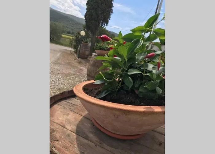 Agriturismo Il Salicchio App.Benedetta