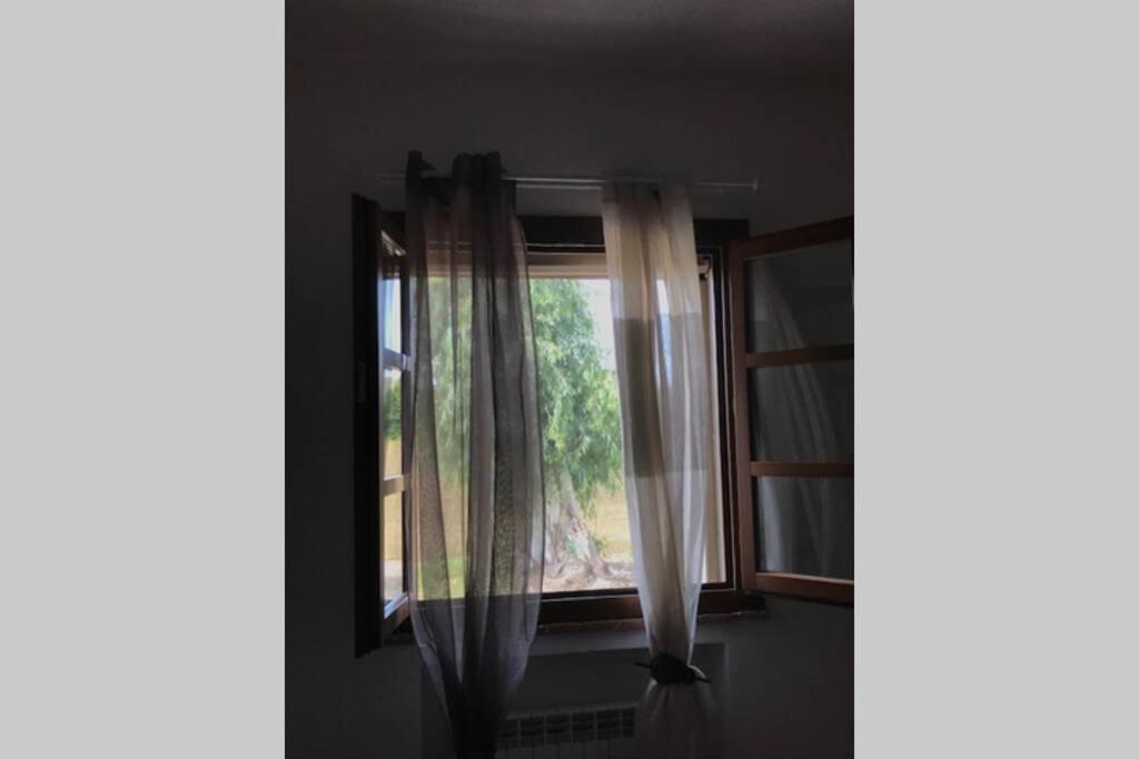 Il Salicchio App.benedetta Apartment *